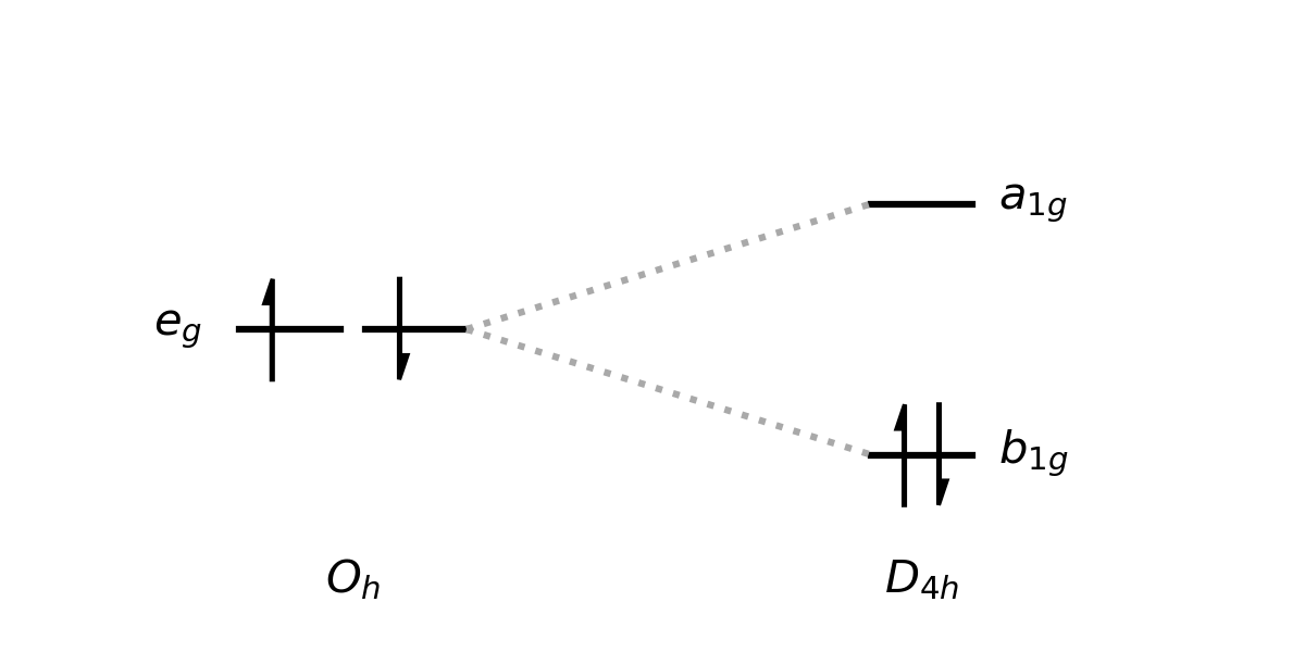 Illegal - violating Hund!.